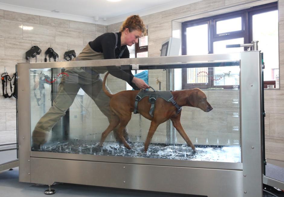 Hydrotherapy Treadmill