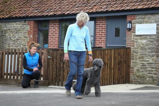 Brook Barn Free Muscular Health Check Brook Barn Free Muscular Health Check