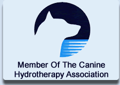 Brook Barn Canine Rehabilitation Brook Barn Canine Hydrotherapy